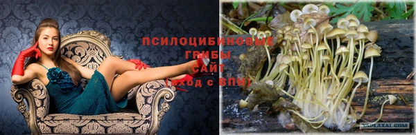 кокаин Абинск