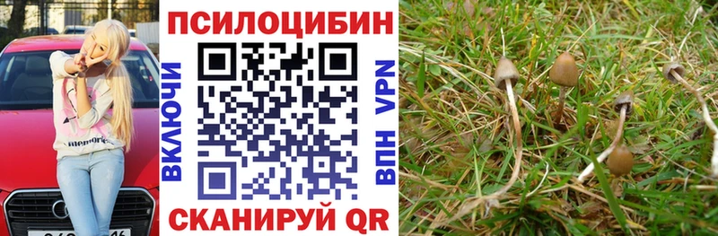 Галлюциногенные грибы мухоморы  нарко площадка Telegram  Киренск 